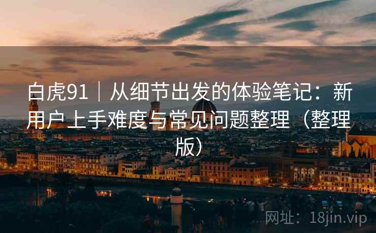 白虎91｜从细节出发的体验笔记：新用户上手难度与常见问题整理（整理版）