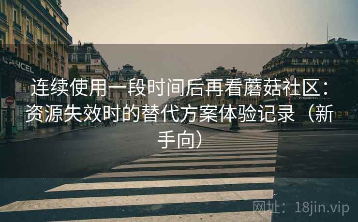 连续使用一段时间后再看蘑菇社区：资源失效时的替代方案体验记录（新手向）