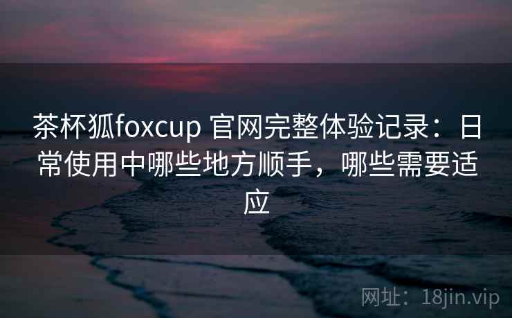 茶杯狐foxcup 官网完整体验记录：日常使用中哪些地方顺手，哪些需要适应