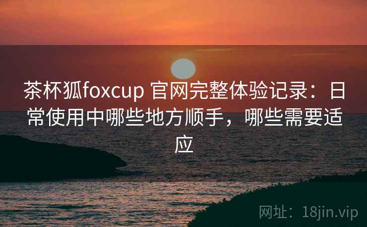 茶杯狐foxcup 官网完整体验记录：日常使用中哪些地方顺手，哪些需要适应