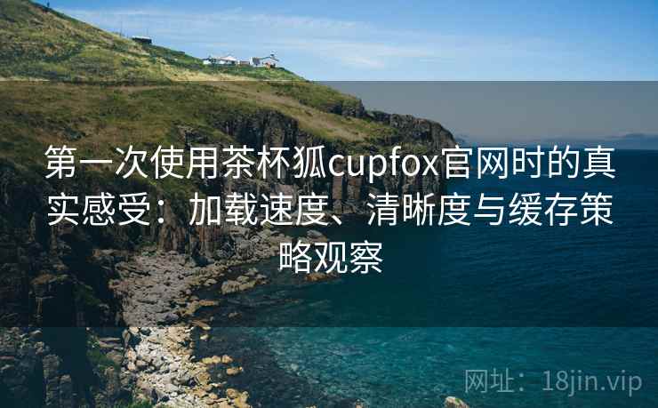 第一次使用茶杯狐cupfox官网时的真实感受：加载速度、清晰度与缓存策略观察