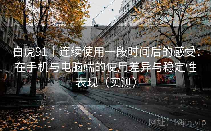 白虎91｜连续使用一段时间后的感受：在手机与电脑端的使用差异与稳定性表现（实测）