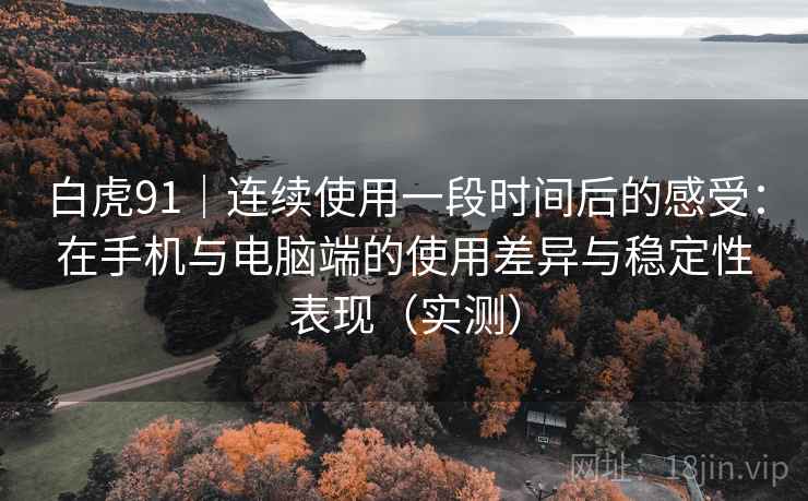 白虎91｜连续使用一段时间后的感受：在手机与电脑端的使用差异与稳定性表现（实测）